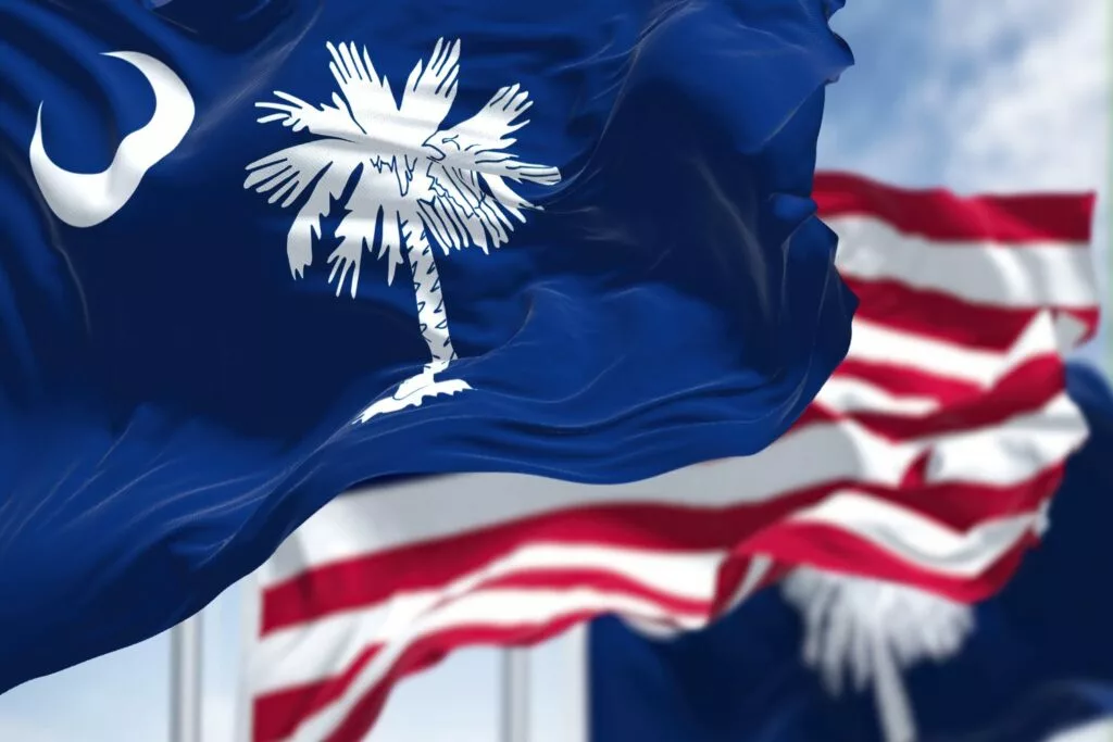 South Carolina state flag